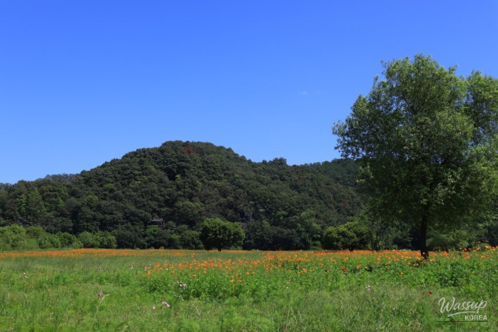 Exploring the Beauty of Hamann Akyang Dookbang_05