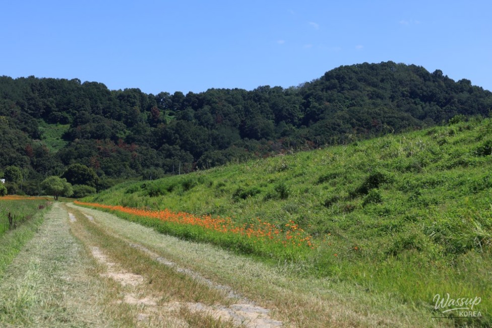Exploring the Beauty of Hamann Akyang Dookbang_06