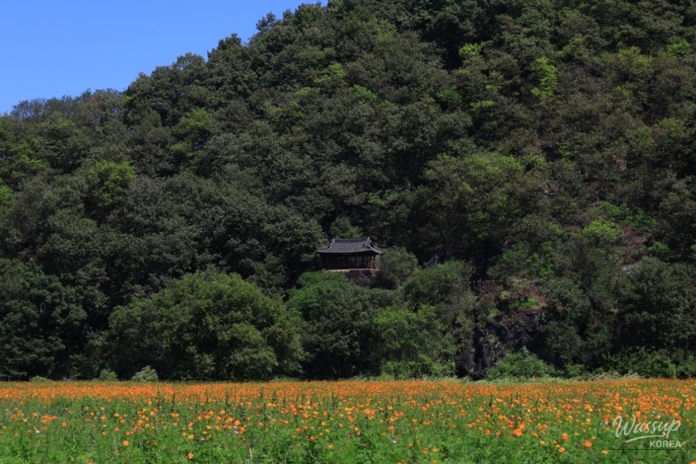 Exploring the Beauty of Hamann Akyang Dookbang_09