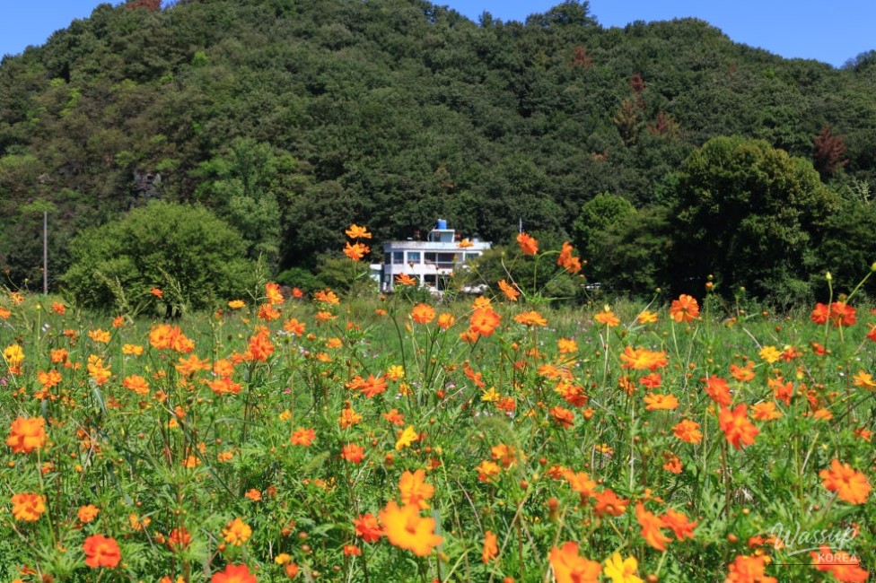 Exploring the Beauty of Hamann Akyang Dookbang_02