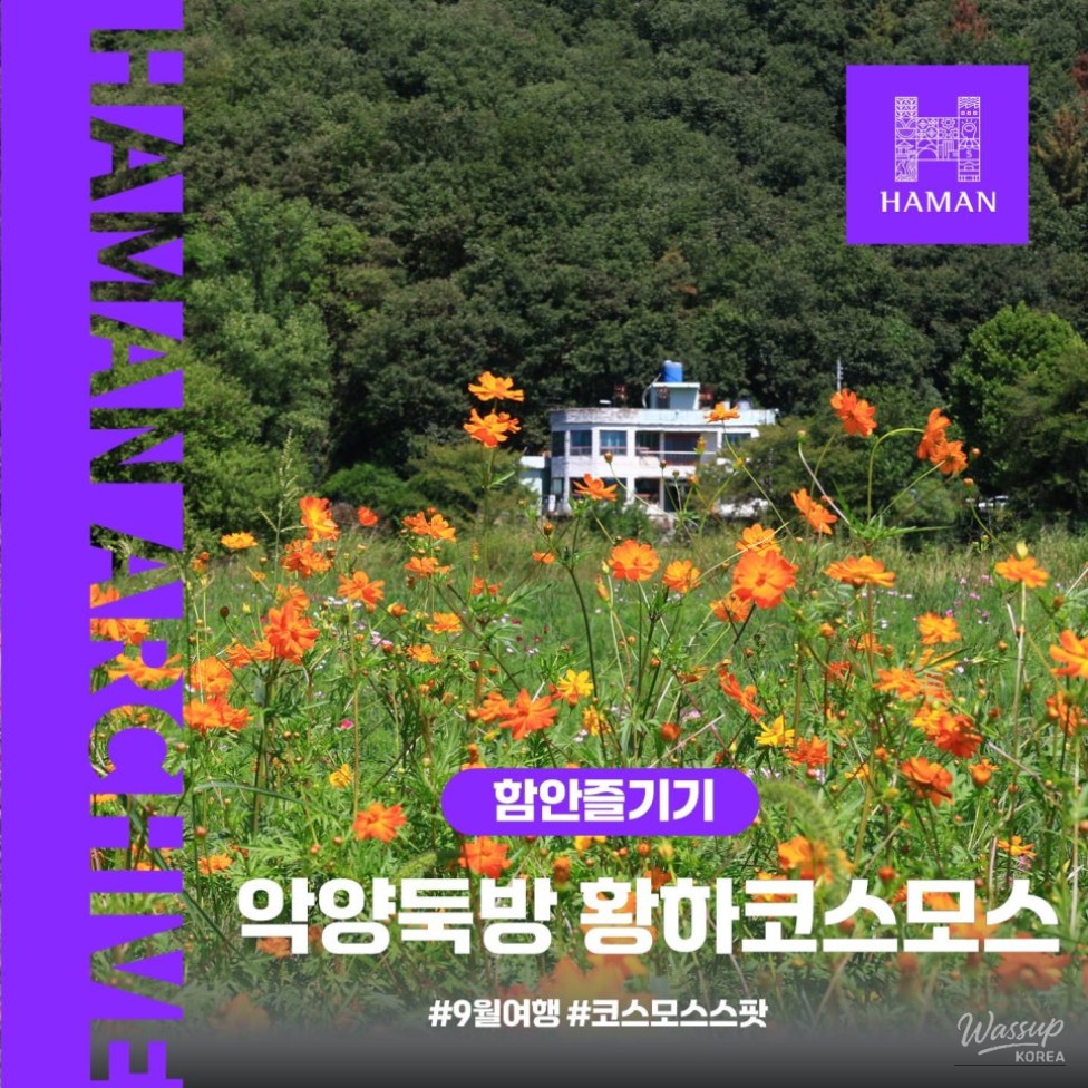 Exploring the Beauty of Hamann Akyang Dookbang_01