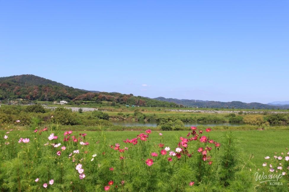 Exploring the Beauty of Hamann Akyang Dookbang_15