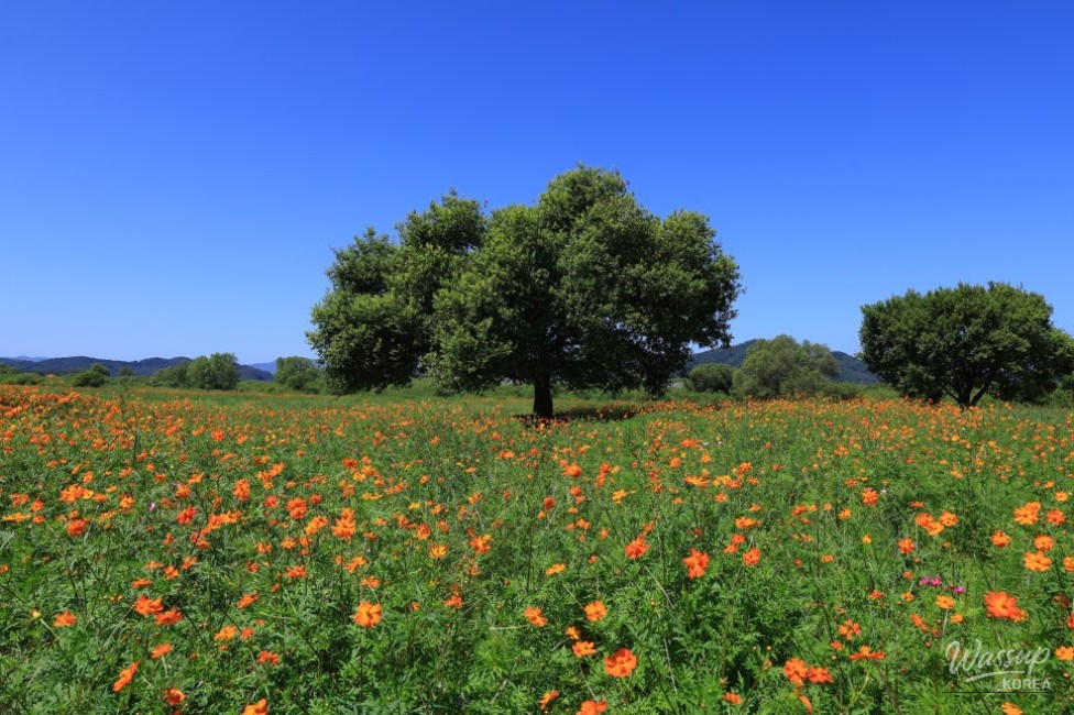 Exploring the Beauty of Hamann Akyang Dookbang_04