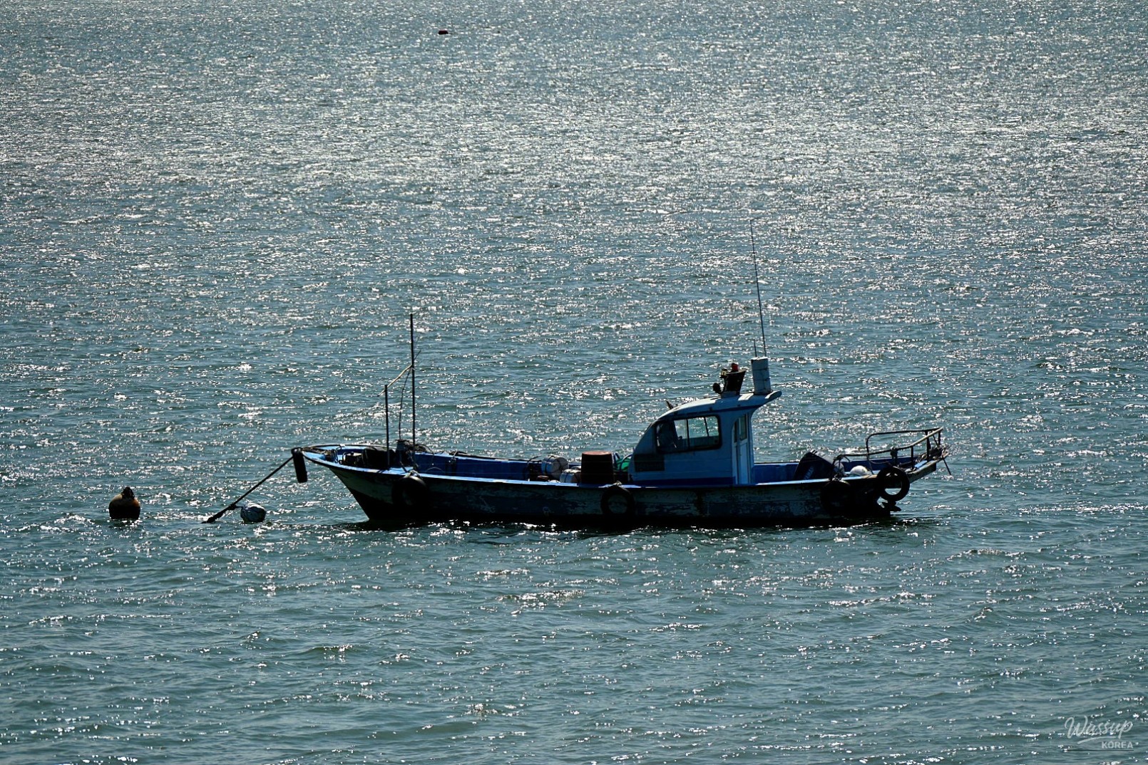 Exploring Hanjin Port and Its Vibrant Fish Market_02