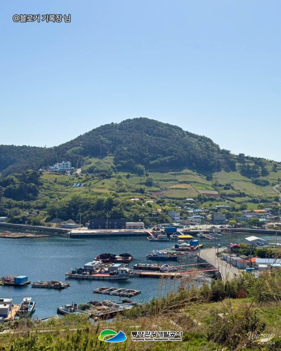 Exploring the Beautiful Islands of Tongyeong in Autumn_08