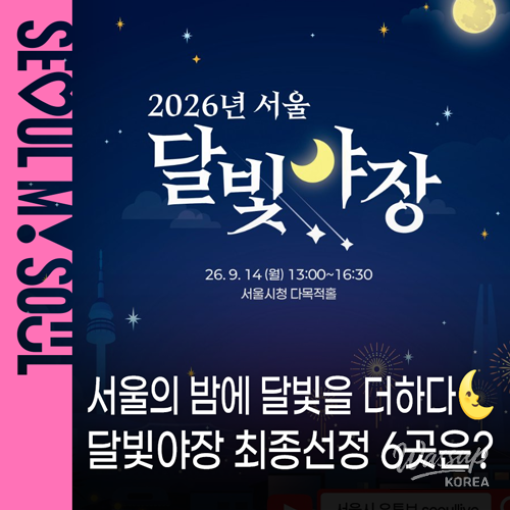 Seoul's Moonlight Night Market: A New Evening Destination_01