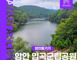 Exploring the Tranquil Ipgok National Park in Hamann