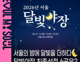 Seoul's Moonlight Night Market: A New Evening Destination