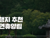 Recommended Natural Recreation Forest in Jeonbuk: Demisaem Natural Recreation Forest