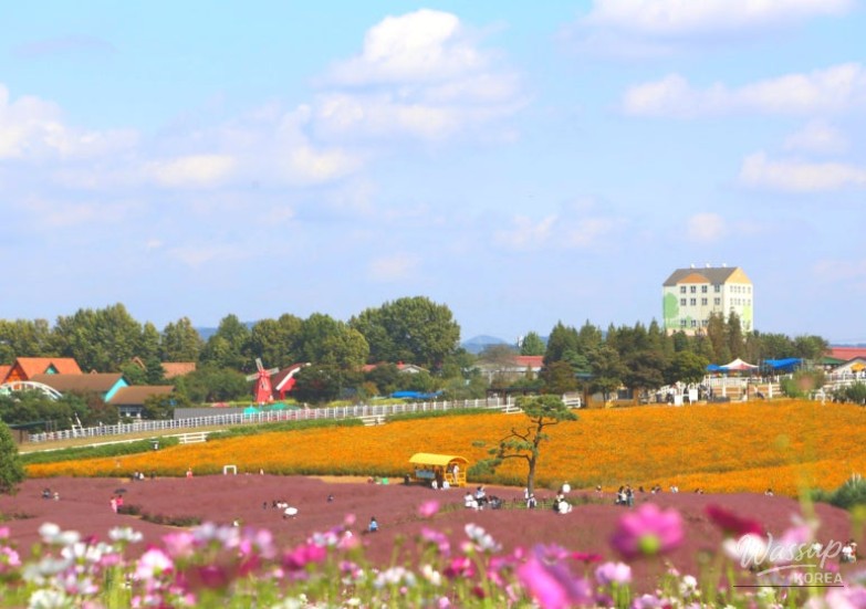 Autumn Day Trip to Anseong, South Korea_02