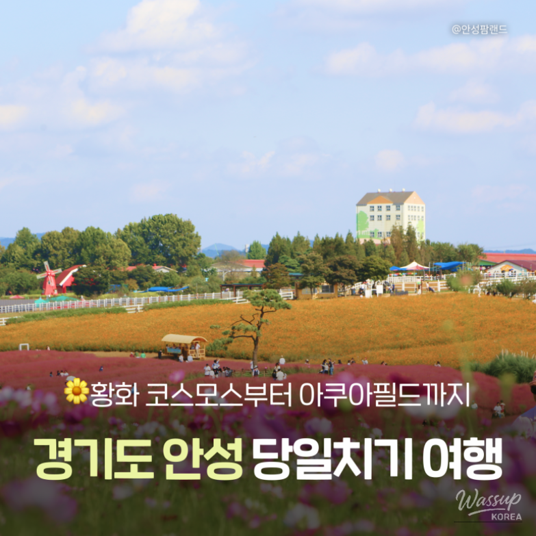 Autumn Day Trip to Anseong, South Korea_01