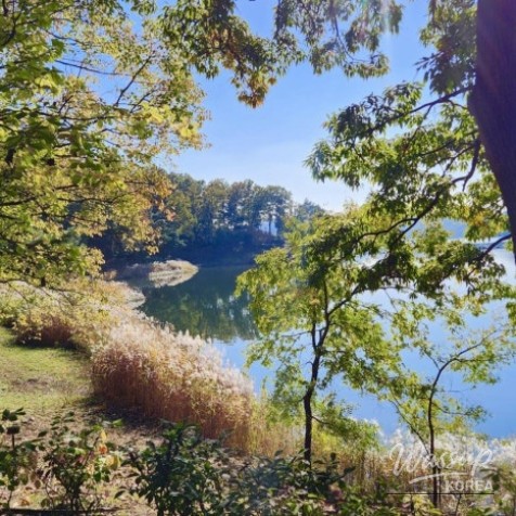 Exploring the Autumn Beauty of Chungbuk in September_05