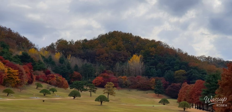 Exploring the Autumn Beauty of Chungbuk in September_01