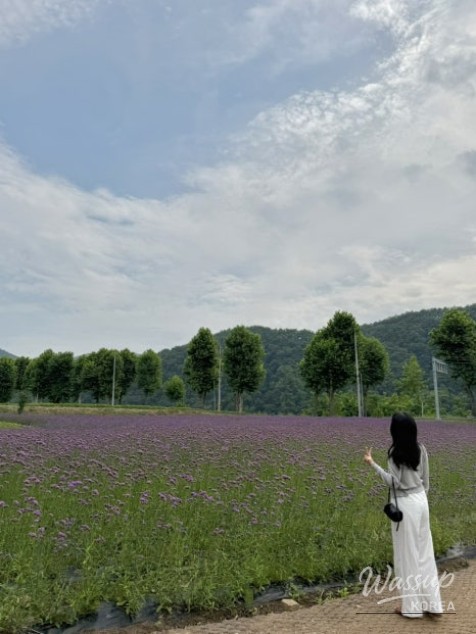 A Two-Day Trip to Danyang: Exploring Nature and Culture_02