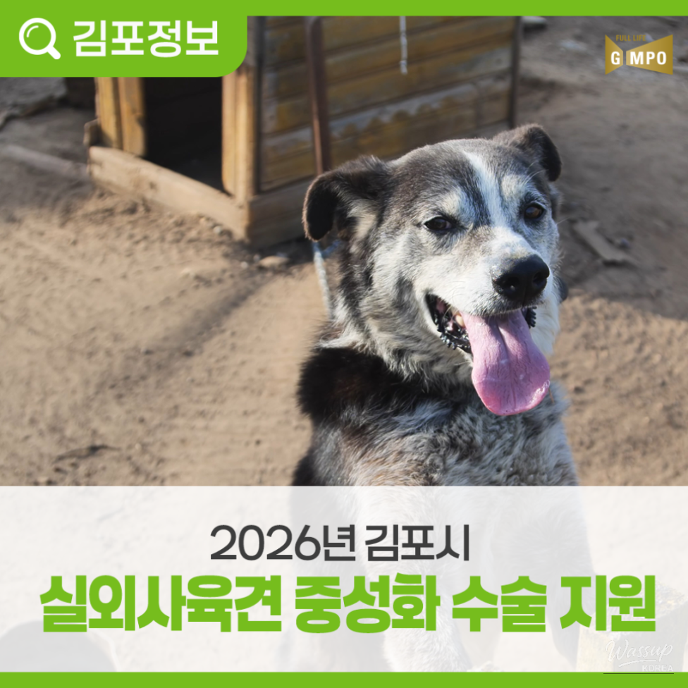 Outdoor Dog Neutering Support Program in Gimpo City_02