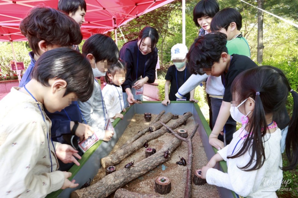 Explore Insects This Fall with the Insect Docent Tour_02