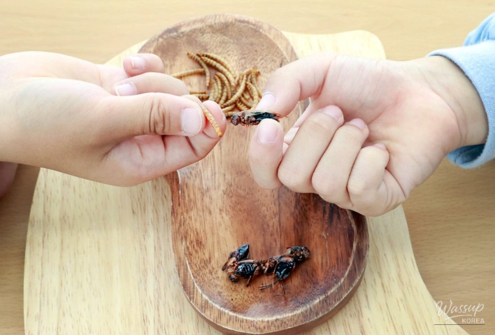 Explore Insects This Fall with the Insect Docent Tour_05