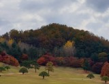 Exploring the Autumn Beauty of Chungbuk in September