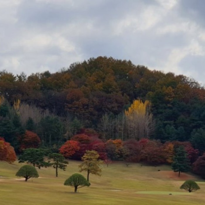 Exploring the Autumn Beauty of Chungbuk in September