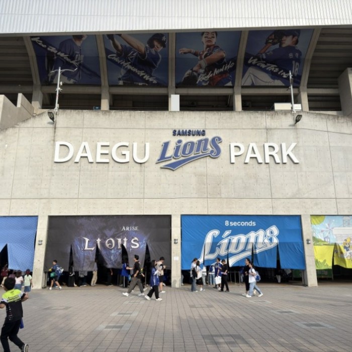 A Memorable Weekend at the Samsung Lions Park