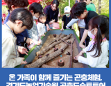 Explore Insects This Fall with the Insect Docent Tour