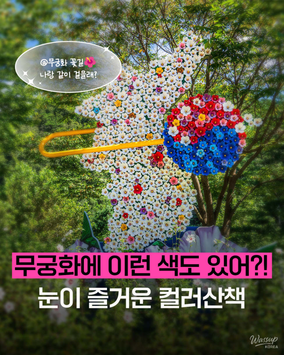 Discovering the Beauty of Hibiscus at Hongcheon Hibiscus Arboretum_01