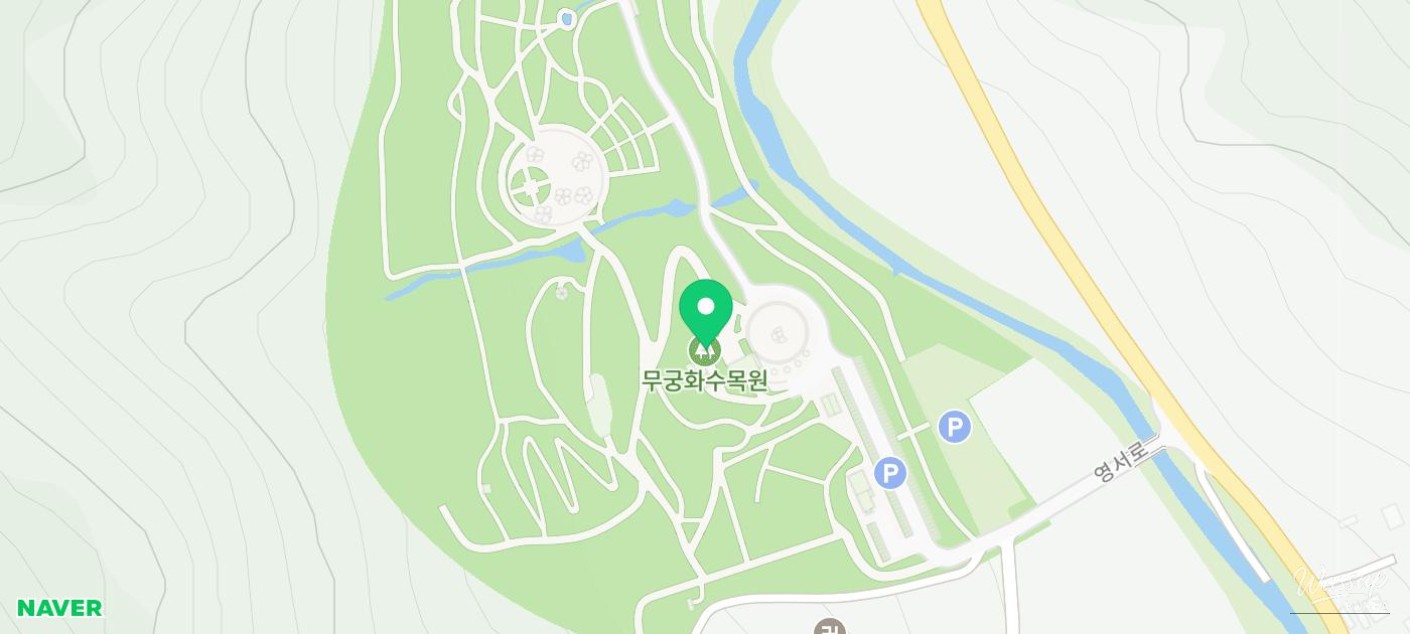 Discovering the Beauty of Hibiscus at Hongcheon Hibiscus Arboretum_05