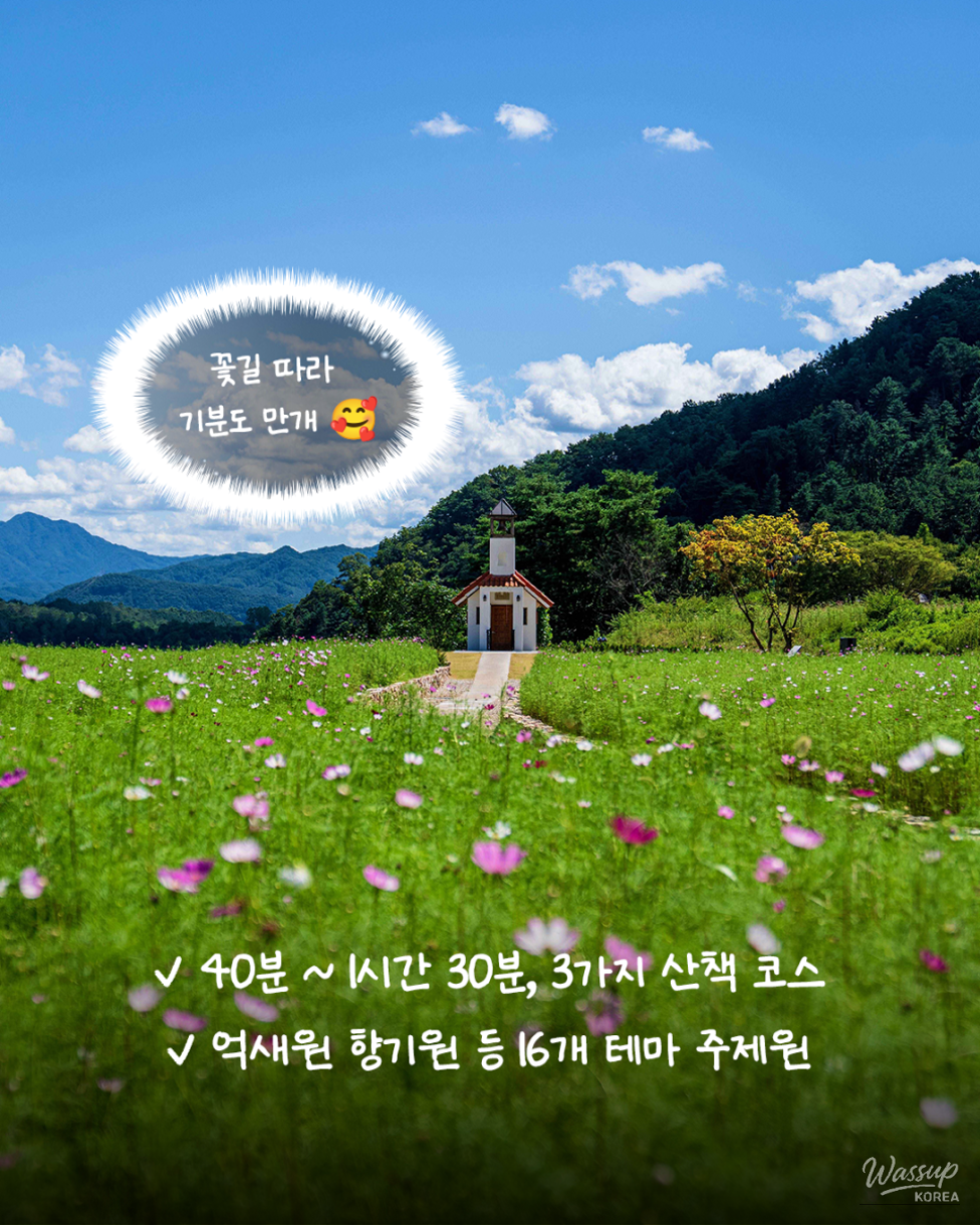 Discovering the Beauty of Hibiscus at Hongcheon Hibiscus Arboretum_03