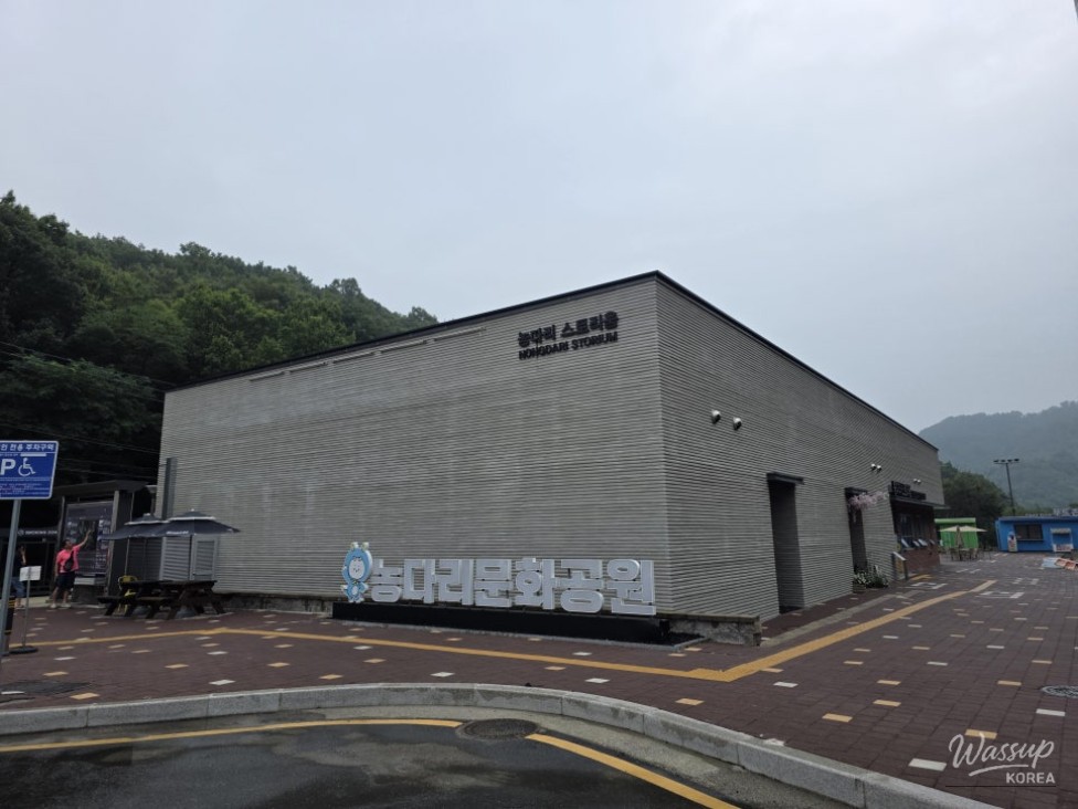 Discovering Nongdari Storyum: A Hidden Gem in Jincheon_03