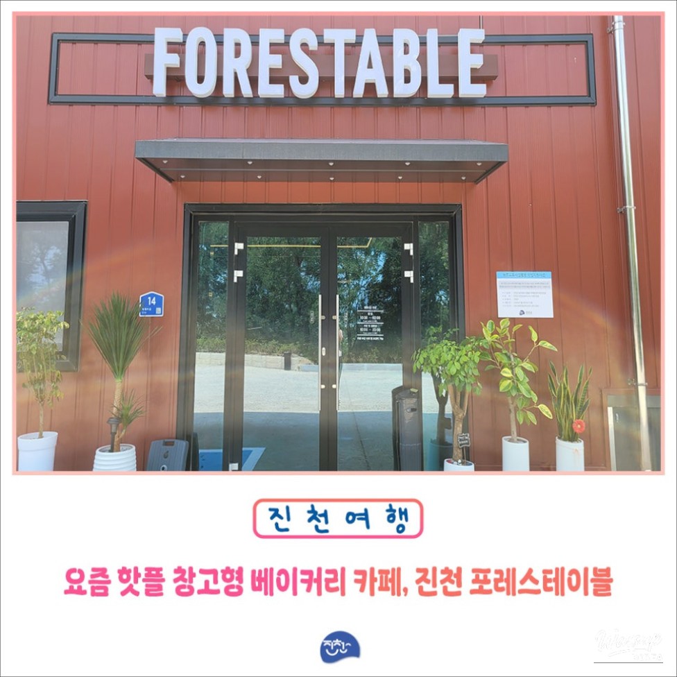 Discovering Forestable: A Unique Cafe Experience in Jincheon_01