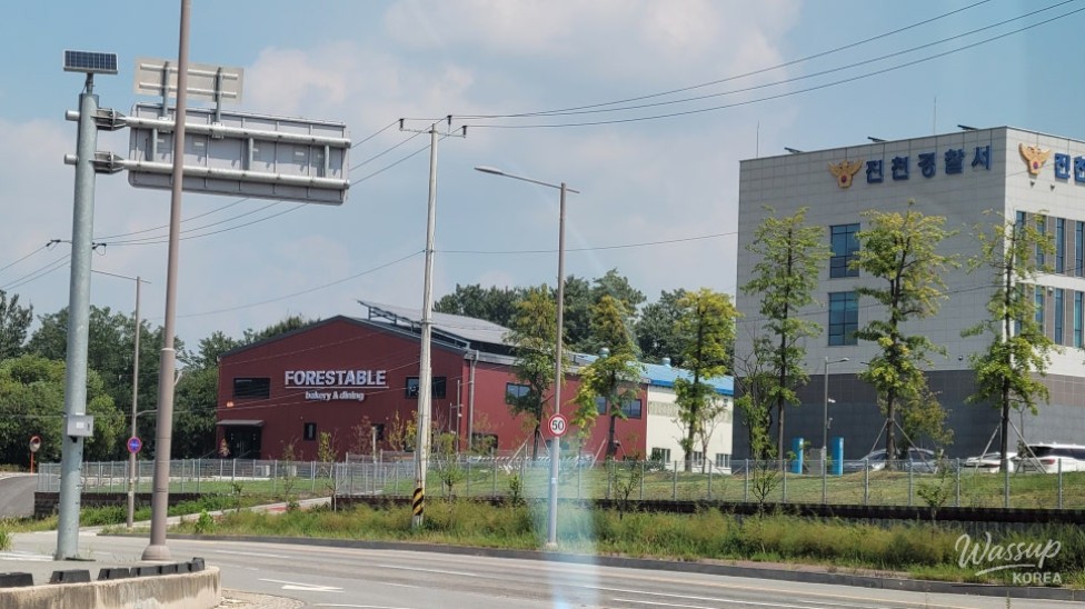 Discovering Forestable: A Unique Cafe Experience in Jincheon_02