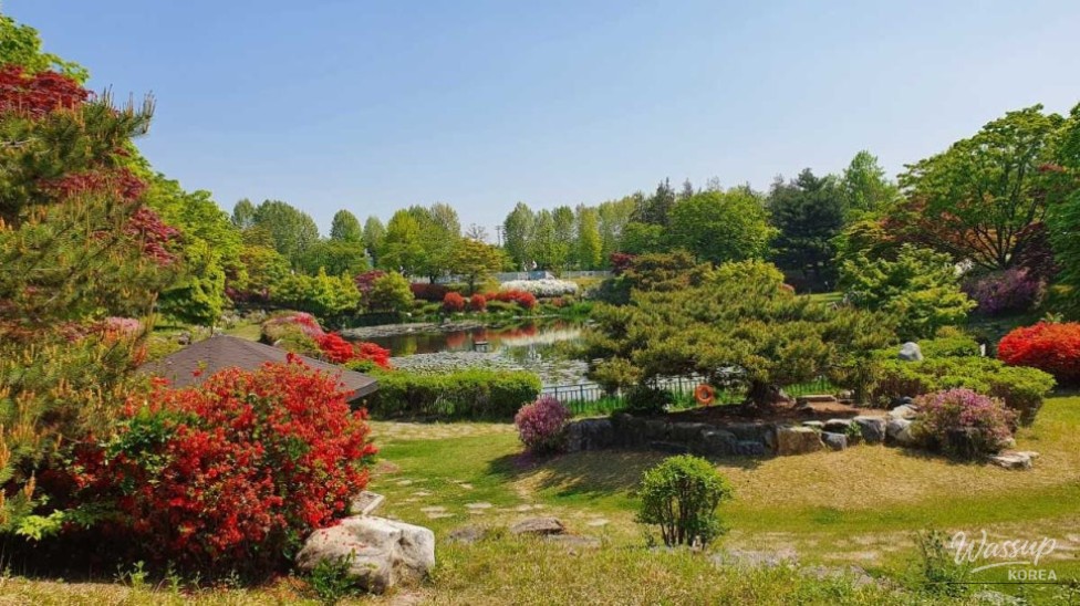 A Tranquil Autumn Retreat at the National Cemetery_02
