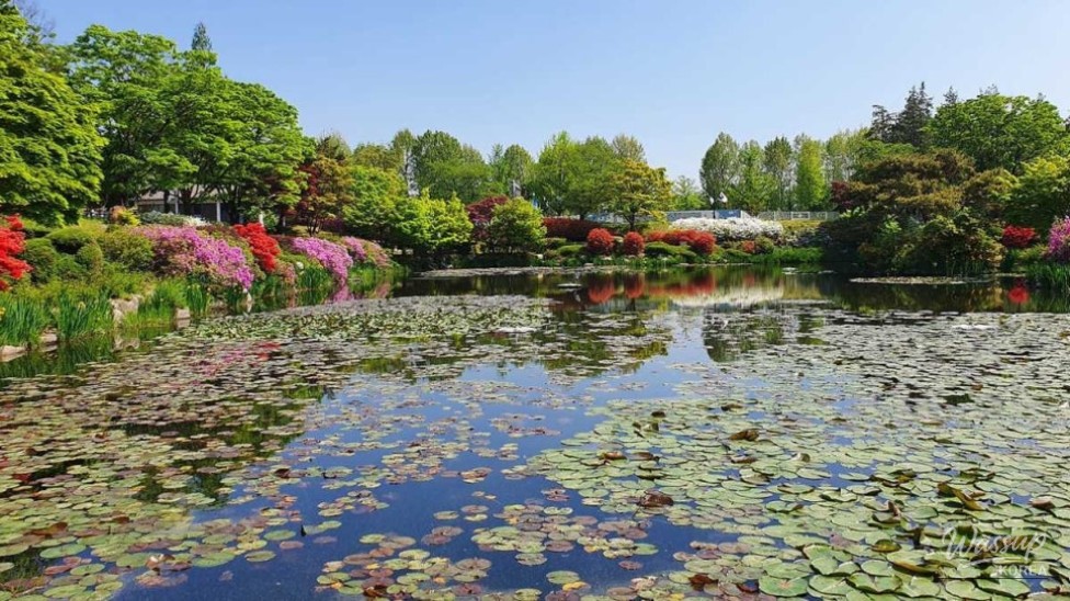 A Tranquil Autumn Retreat at the National Cemetery_03
