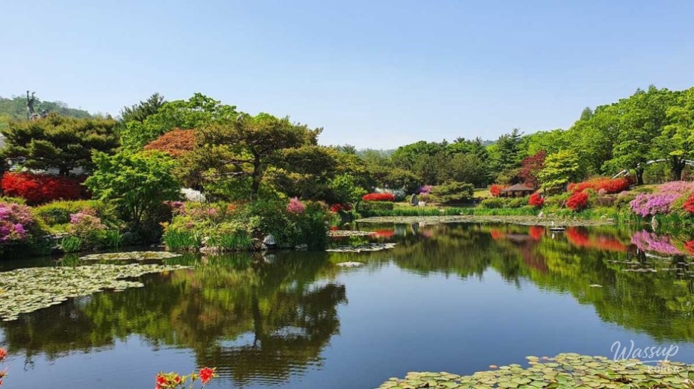 A Tranquil Autumn Retreat at the National Cemetery_05