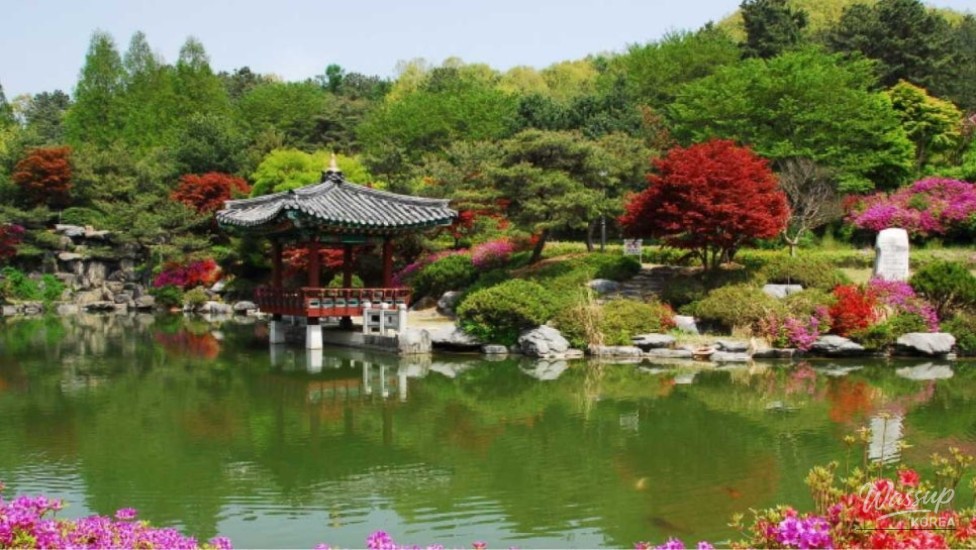 A Tranquil Autumn Retreat at the National Cemetery_01