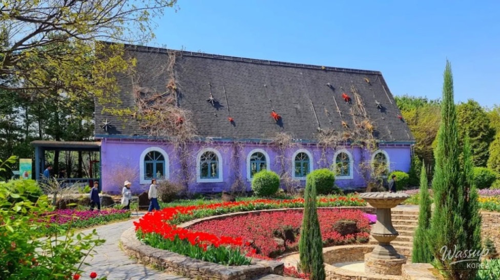Explore the Exotic Beauty of Byeokchoji Arboretum_05