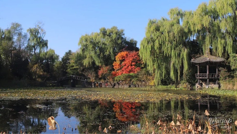Explore the Exotic Beauty of Byeokchoji Arboretum_01
