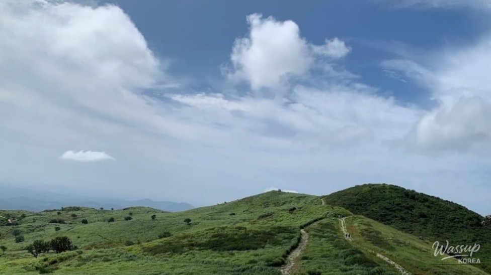 Explore the Scenic Beauty of Hwangmaesan Provincial Park_02
