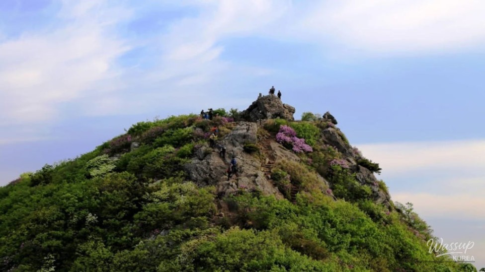 Explore the Scenic Beauty of Hwangmaesan Provincial Park_04