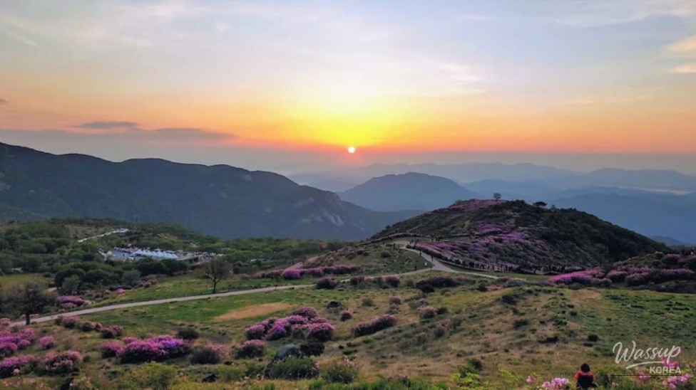 Explore the Scenic Beauty of Hwangmaesan Provincial Park_03