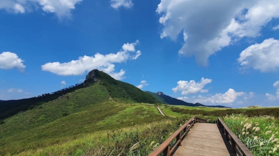 Explore the Scenic Beauty of Hwangmaesan Provincial Park_05