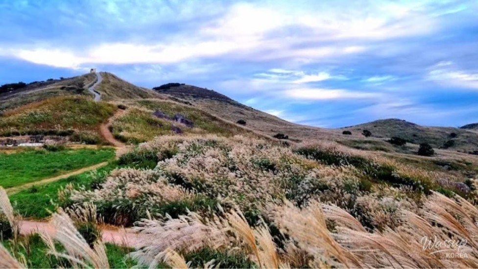Explore the Scenic Beauty of Hwangmaesan Provincial Park_01