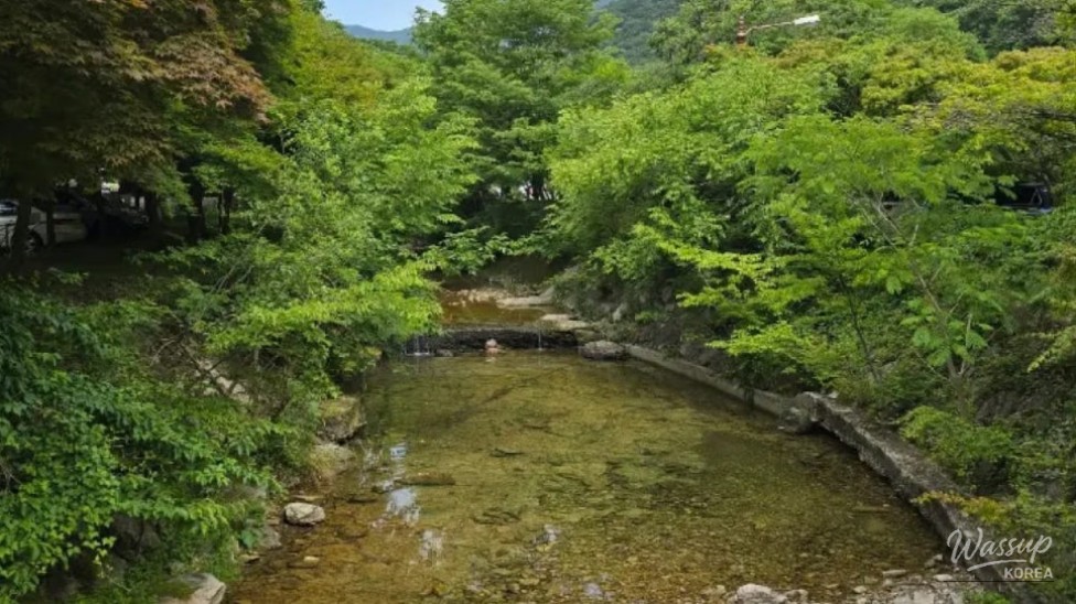 Exploring Naejangsan: A Refreshing Summer Retreat_05