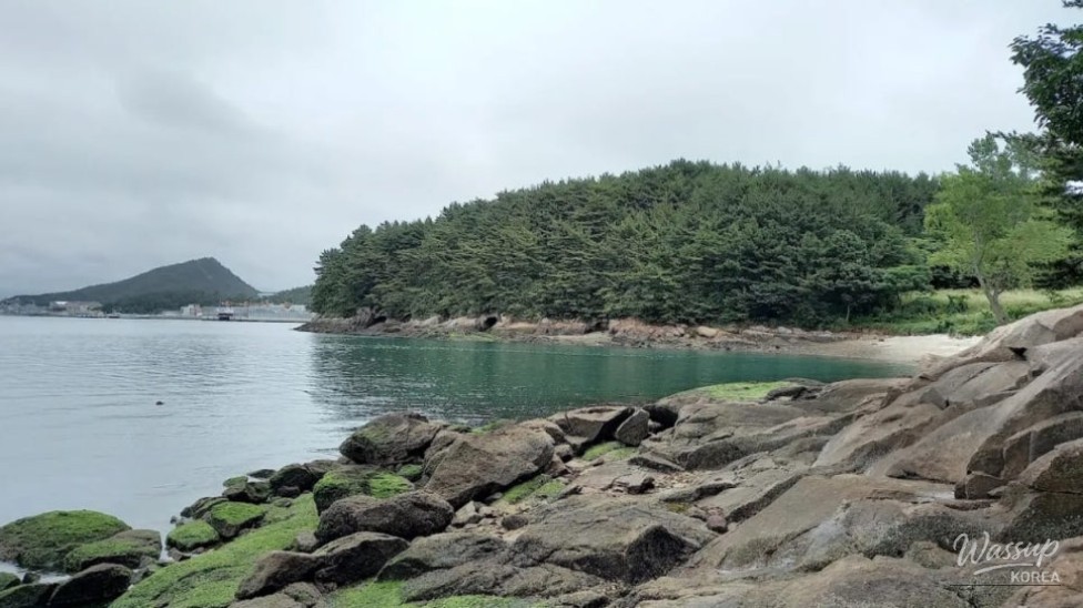 Exploring Goha Island: A Summer Paradise in Mokpo_05