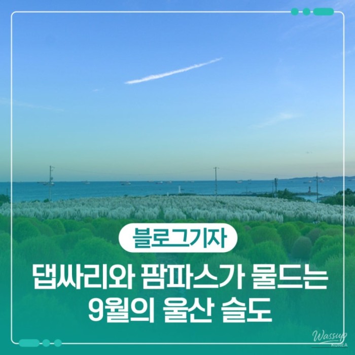 Discovering Autumn in Ulsan's Soldo