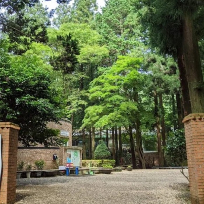 Discovering the Beauty of Boseong Daehan Tea Garden in August