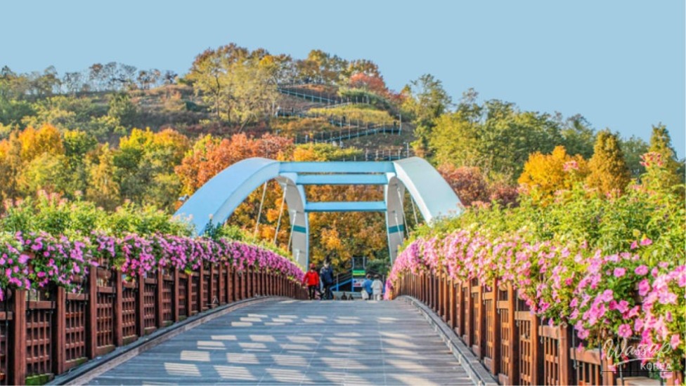 Discovering Sky Park: A Summer Oasis in Seoul_01