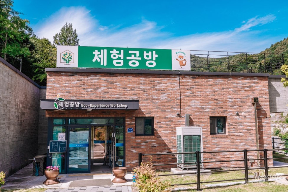 Exploring the Organic Experience Center in Chungju_04