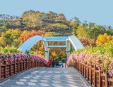 Discovering Sky Park: A Summer Oasis in Seoul