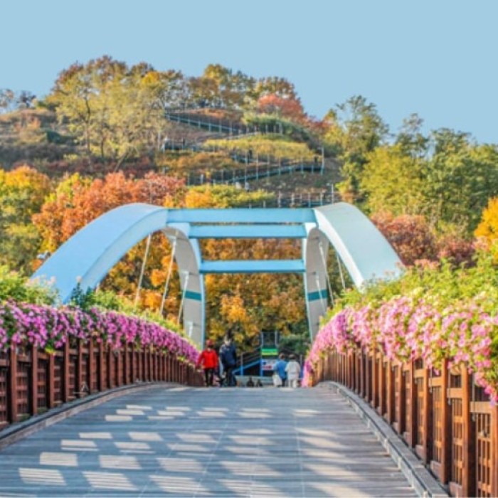 Discovering Sky Park: A Summer Oasis in Seoul